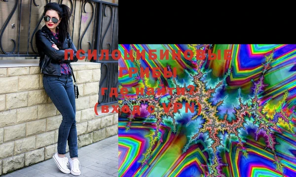 мдпв Белокуриха