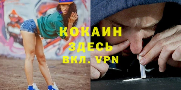 мдпв Белокуриха