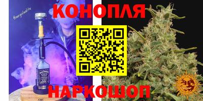 эйфоретик Берёзовский