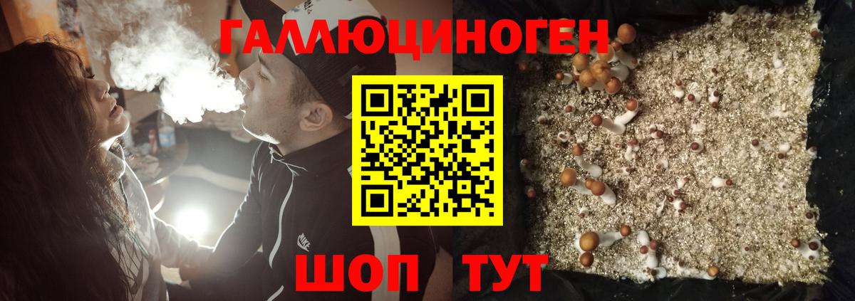 Галлюциногенные грибы мицелий Калуга